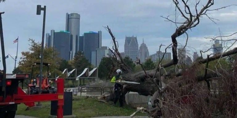 Reviving Detroit’s Legacy: The Fight to Restore the “City of Trees”